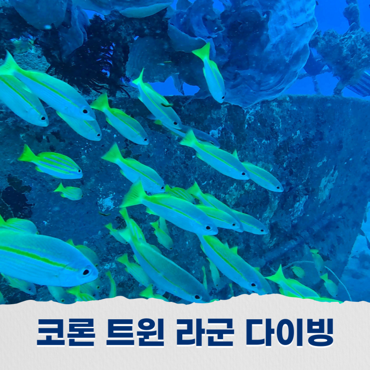  코론 트윈 라군에서의 프리다이빙 천국에 다녀온 기분