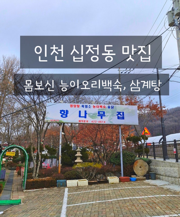  인천 십정동맛집 향나무집 부평 삼계탕 오리백숙 야장