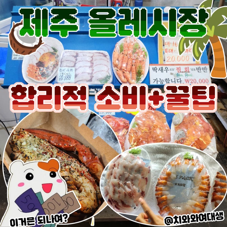  제주도 서귀포 올레시장 수산코너 야시장 회포장 시간