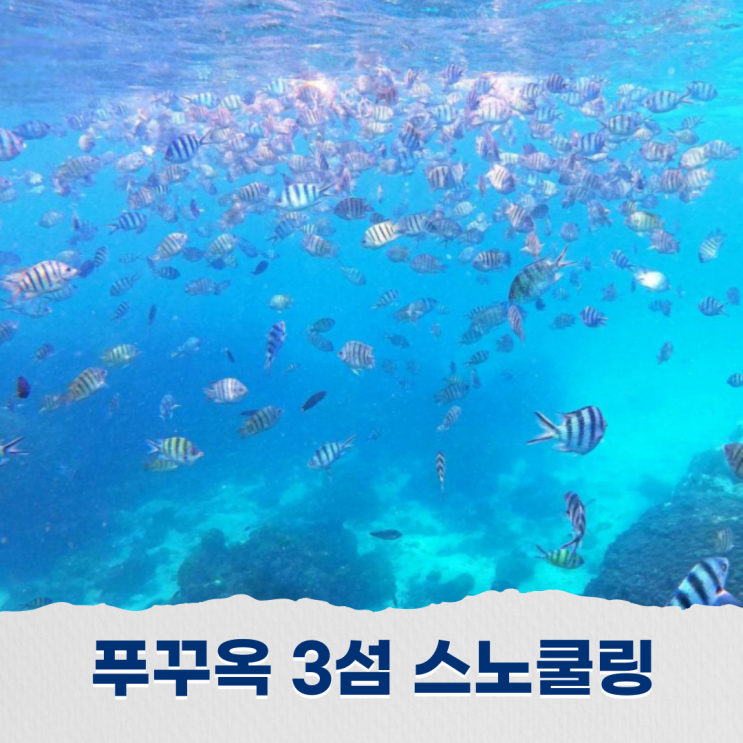  푸꾸옥 스노쿨링 투어 3섬 아일랜드 푸른 바다 속으로 떠난 하루
