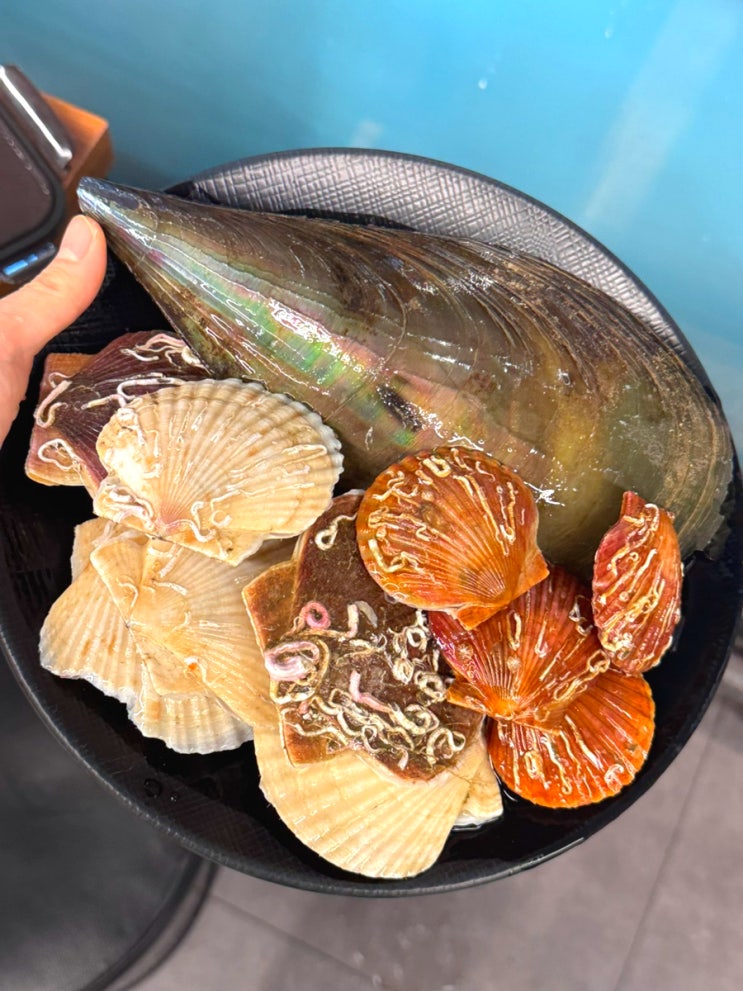  배곧 조개구이 추천 무한리필 조개구이 배곧점