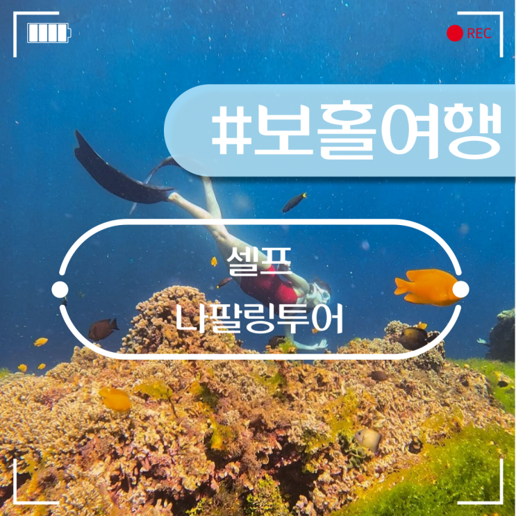  보홀 나팔링 투어 툭툭이 예약 부터 스노쿨링 프리다이빙까지 알려드려요