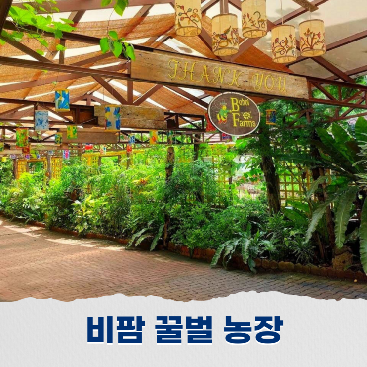  보홀 비팜 꿀벌 농장 방문 자연 속 힐링타임 가능한 리조트