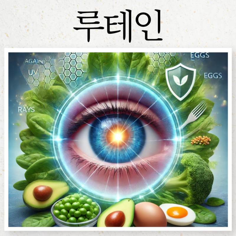 루테인 지아잔틴 효능 부작용 : 루테인 음식