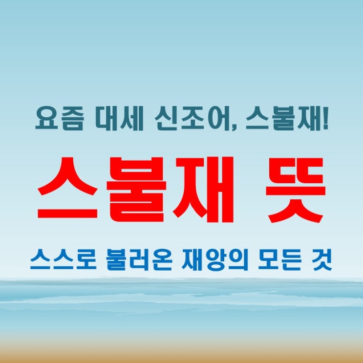  스불재 뜻 한눈에 보기 신조어의 등장 배경과 실제 대화 예문