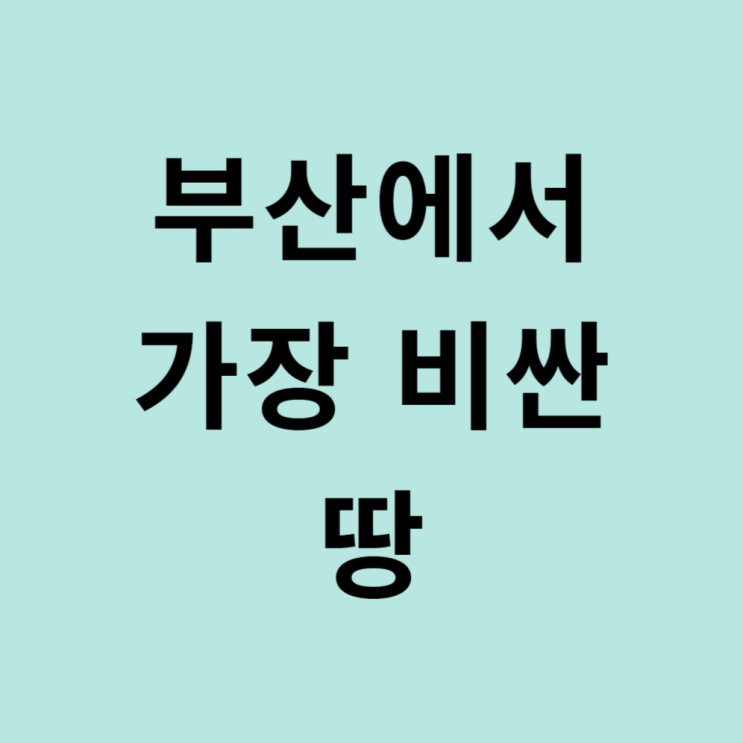  2025년 부산에서 제일 비싼 땅 표준공시지가 정보