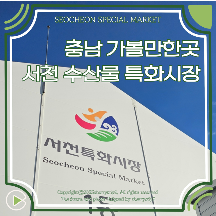  충남 서천 가볼만한곳 서천 수산물 특화시장 :: 굴 회포장 추천