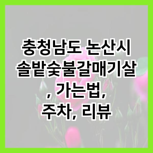 솔밭숯불갈매기살 사진 3