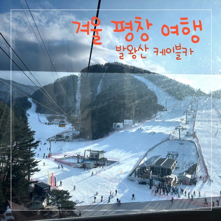  겨울 평창 여행(2)_항상 눈 볼 수 있는 발왕산 관광 케이블카, 천년주목숲길 산책