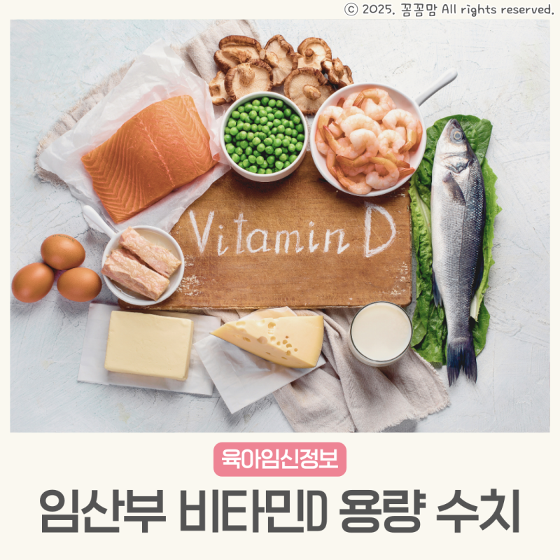 임산부 비타민D 용량 수치 부족 언제까지