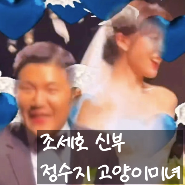  조세호 신부 정수지 정체, Mnet 고양이미녀 였다!