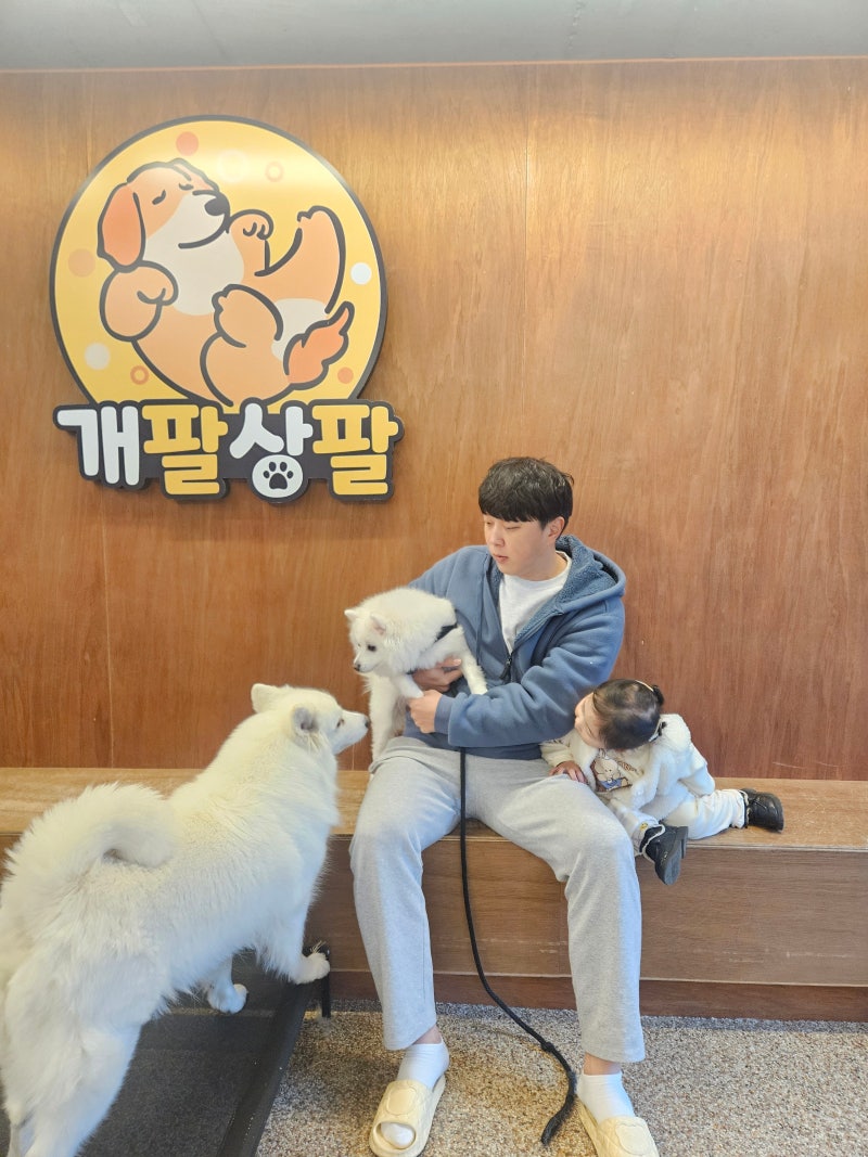 사진 7