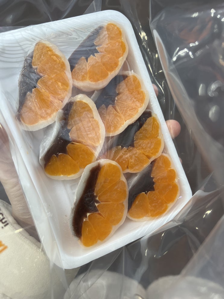  제주도 • 올레시장, 다정이네김밥, 바당국수, 티코스터 만들기