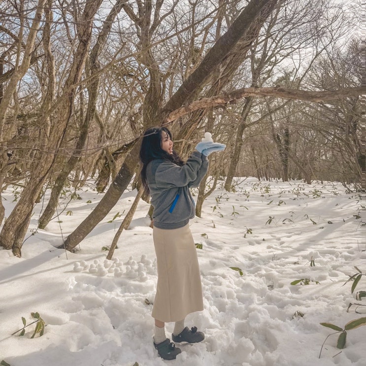  제주도 한라산 1100고지 CCTV 도로 통제 눈꽃산행 드라이브