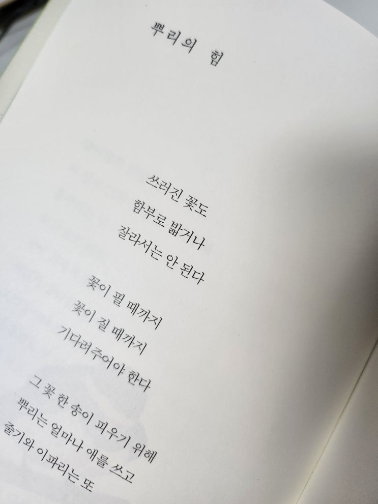  [나태주시인] 뿌리의 힘