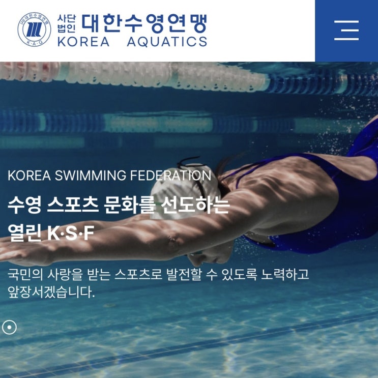 2025년도 대한수영연맹 주최 및 주관 전국수영대회 일정(2025.1.24.) & 2024 수영종합랭킹 | 대한수영연맹