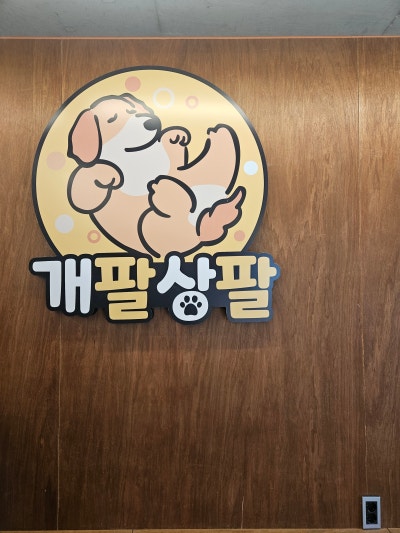 사진 8