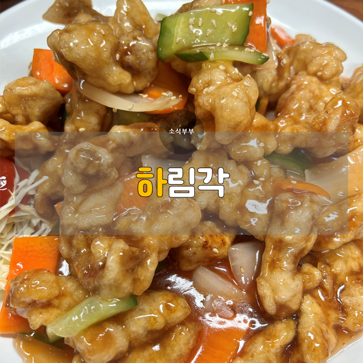  [남양주] 탕수육으로 웨이팅하는 남양주 맛집 '하림각'