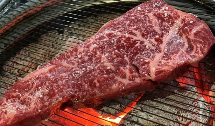  논현 학동 한우 채끝살 꽃등심 생갈비살 맛집 정육식당 세종한우