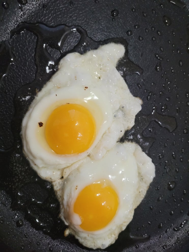  구데타마가 생각나는 아침 계란 반숙 구데타마 영화