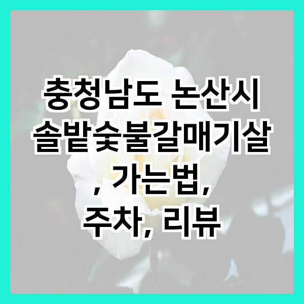 솔밭숯불갈매기살 사진 2