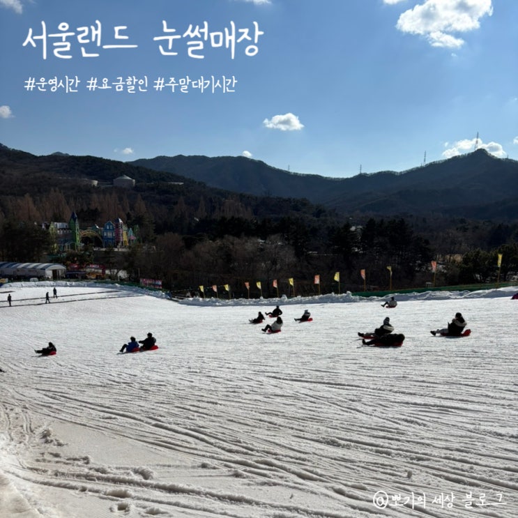  [여행]서울랜드 눈썰매장 방문후기 (요금, 운영시간, 주차장, 대기시간)