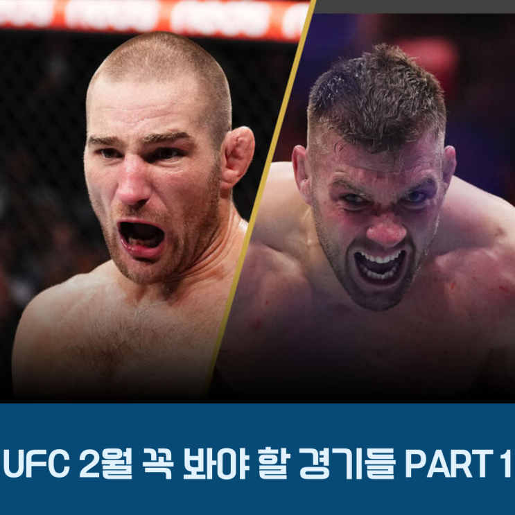  2월  UFC FIGHT NIGHT + 넘버링 포함 꼭 봐야 할 경기 TOP4 PART1