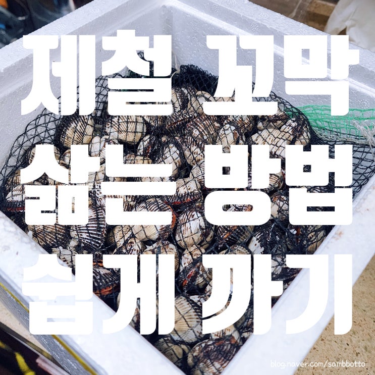 ️친정엄마한테 배운 꼬막 삶는 방법 | 꼬막 기가막히게 삶는 필승 비법+숟가락으로 꼬막 껍질 까기️