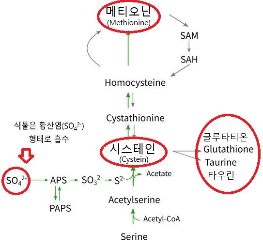 유황비료 알아보기~