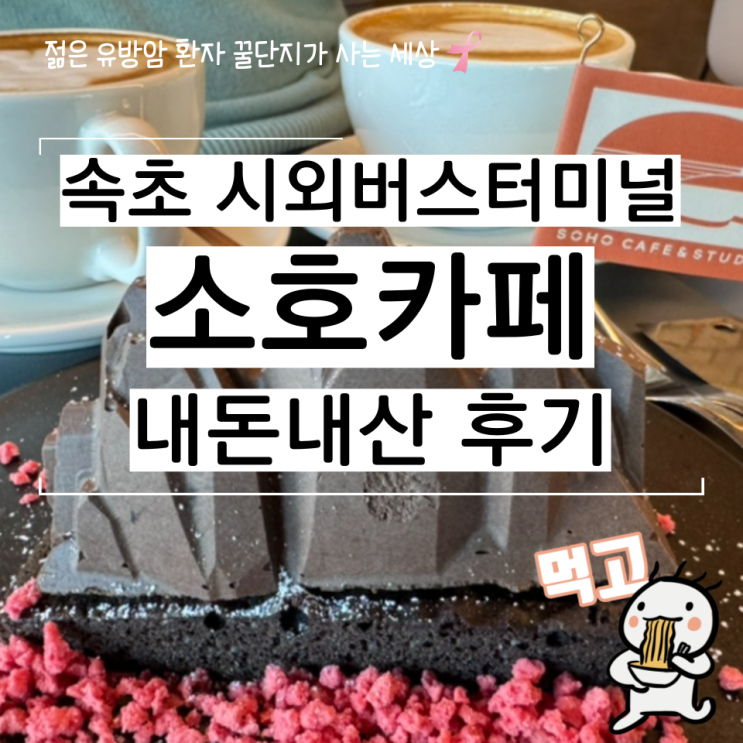  속초 힙한 카페 추천 시외버스터미널 소호카페 내돈내산 후기