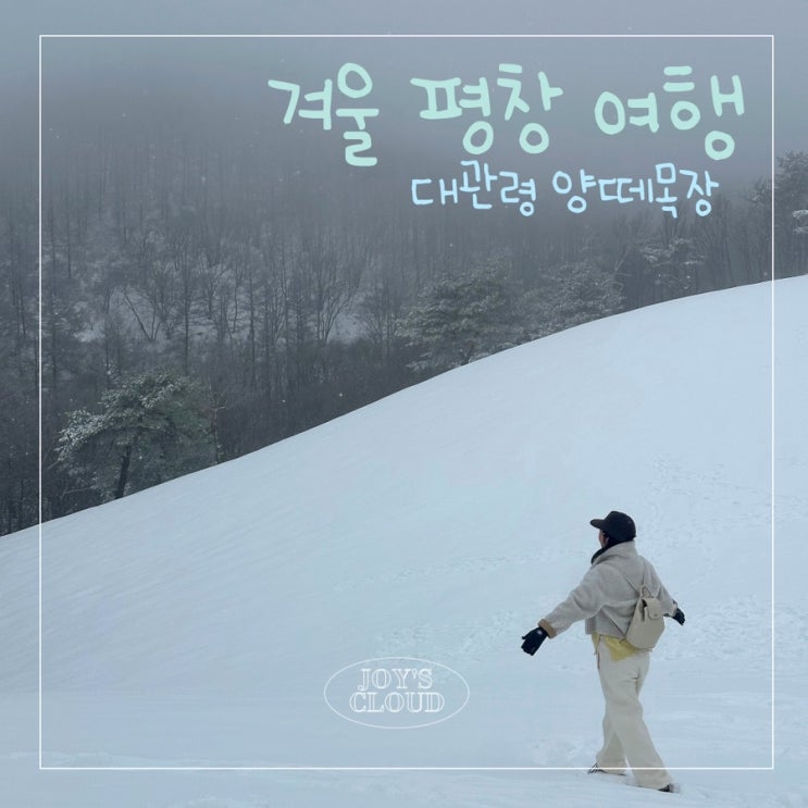  겨울 평창 여행(3)_출입통제된 삼양라운드힐 대신 대관령 양떼목장 후기, 대관령 설경 추천