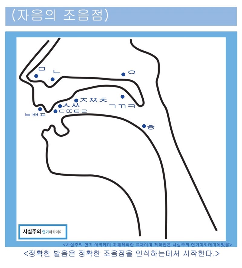한국어 자음과 모음의 정확한 발음 위치 이해로 스피치와 낭독 잘하고 싶지 않으시나요? : 네이버 블로그