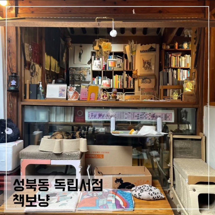  성북동 독립서점 책보냥; 고양이가 있는 한성대 한옥 서점