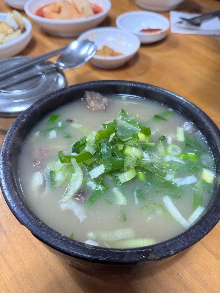  포항 죽도 시장 노포 맛집 장기 식당 곰탕 맛집 내돈내산 주차