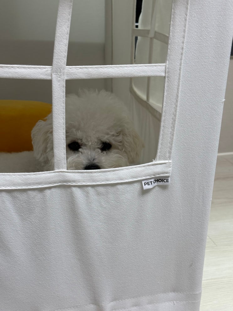  펫초이스 강아지 숨숨집 휴식공간