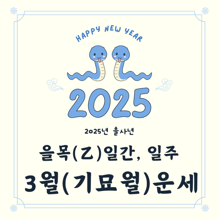  2025년 을사년 3월 기묘월 을목일간 을목일주 운세