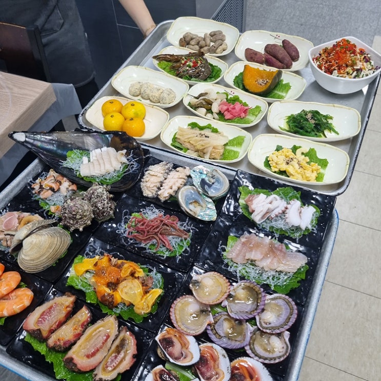  목포횟집 제철 방어회 맛집 선희네횟집