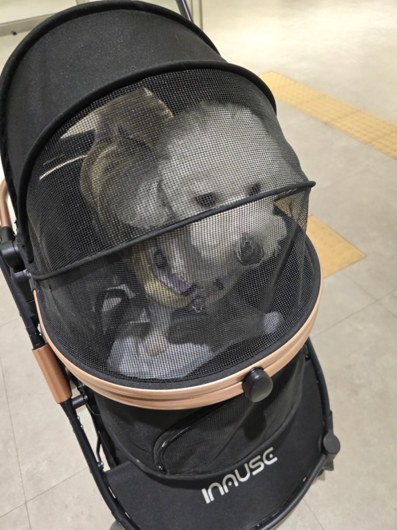 사진 2