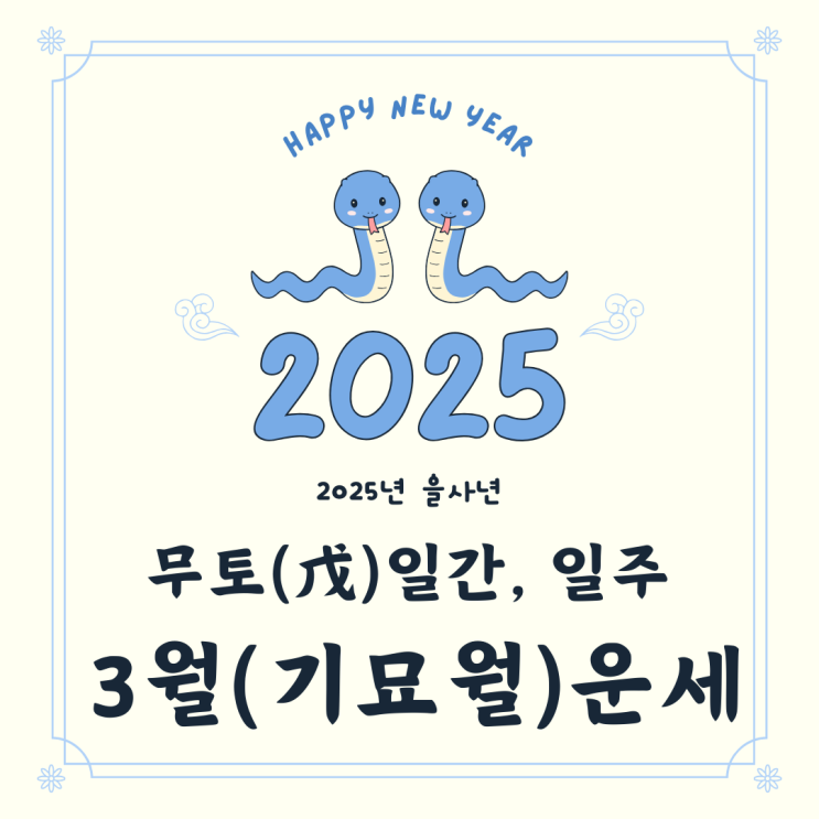  2025년 을사년 3월 기묘월 무토일간 무토일주 운세
