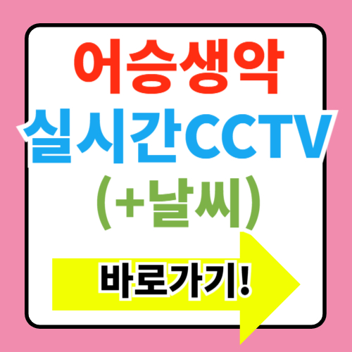  어승생악 cctv 바로가기(+주차장 눈썰매)