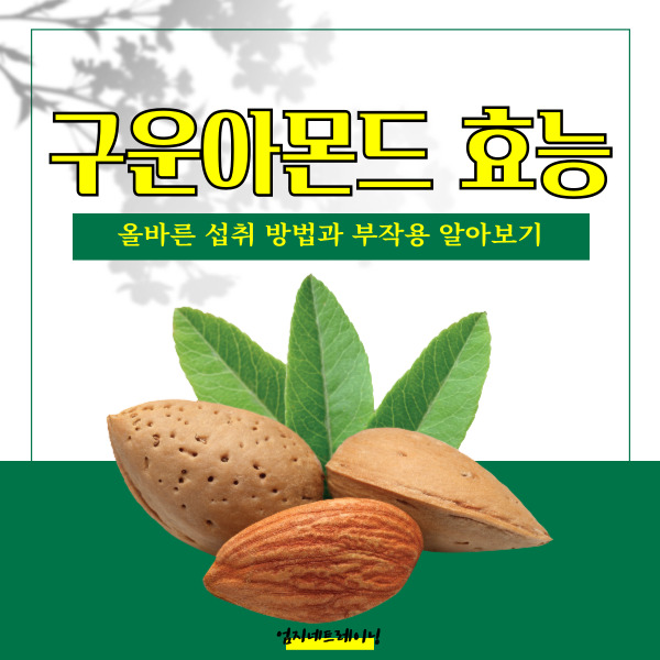  구운아몬드 칼로리 효능과 올바른 섭취 방법과 부작용