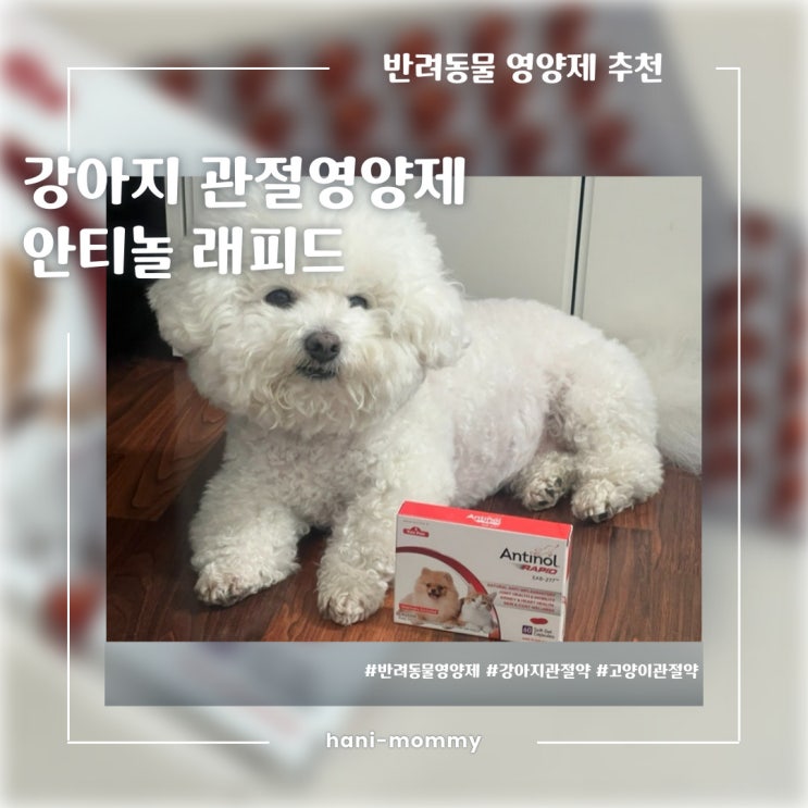 반려동물 영양제 추천! 우리 강아지의 관절은 안티놀로 관리하자! 반려동물 영양제 추천! 우리 강아지의 관절은 안티놀로 관리하자!