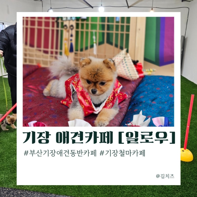 사진 7