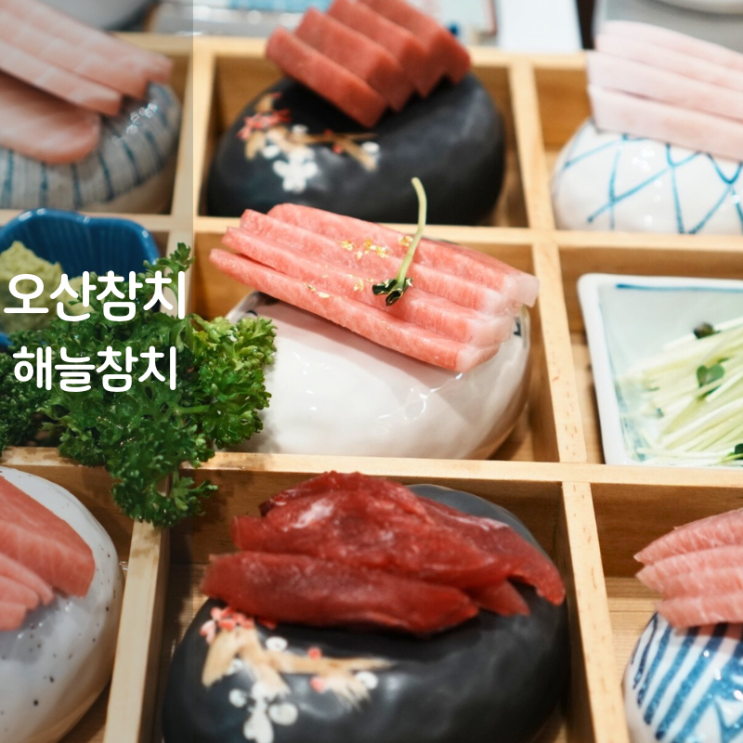  오산대역 맛집 해늘참치 참치회 부위 주도로 오도로 아카미 뜻