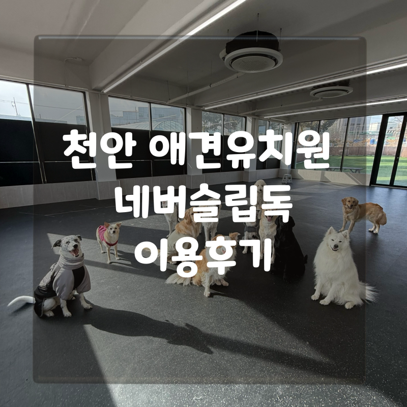 사진 9