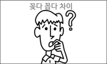  꽂다 꼽다 차이 참고하세요