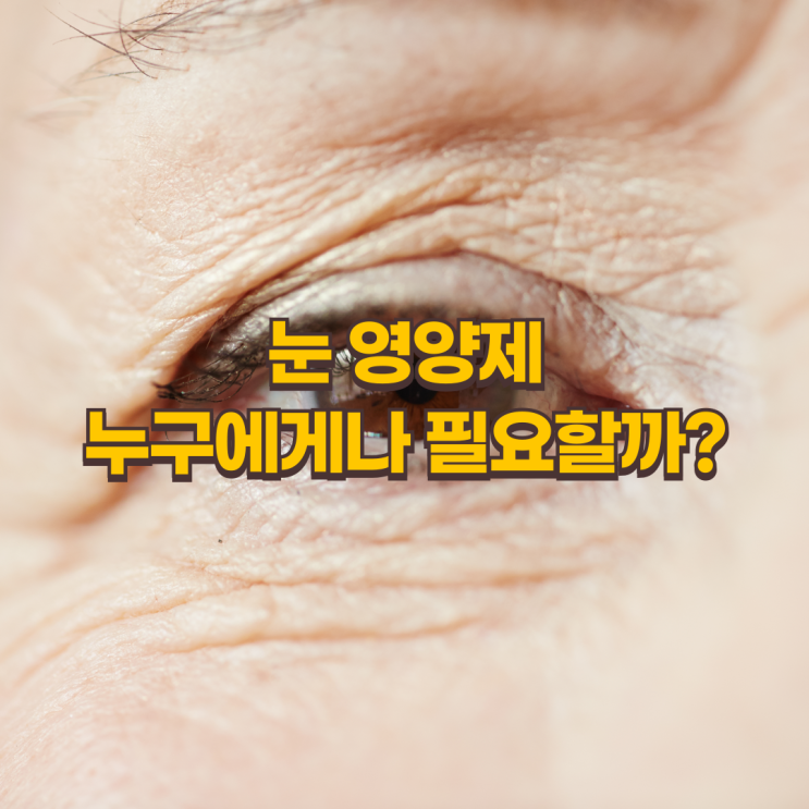  눈 영양제, 어떻게 선택해야 할까?