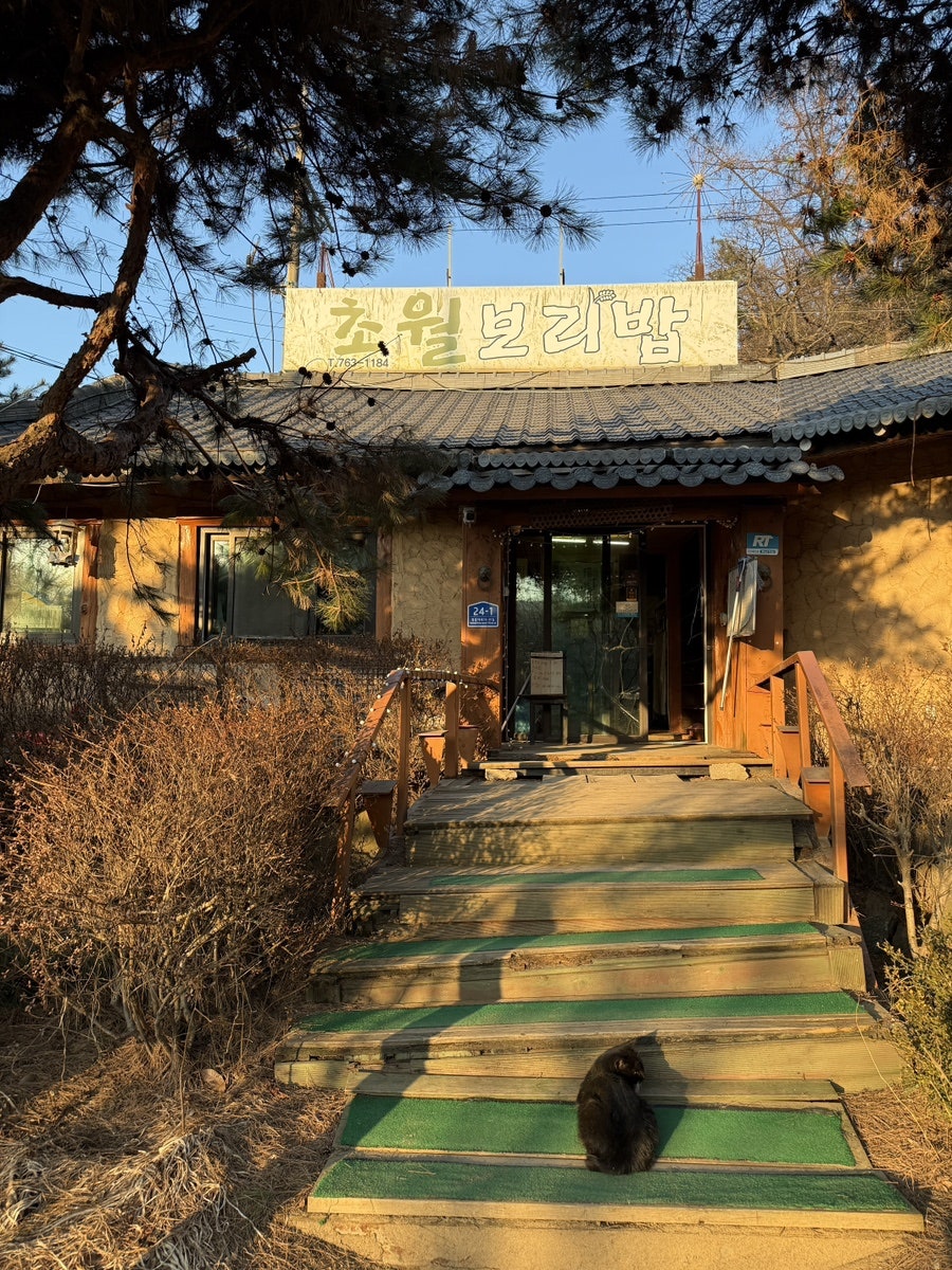 초월보리밥 수양점 사진 5