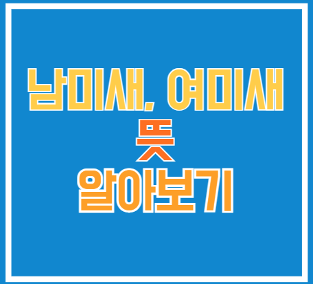  남미새 여미새 뜻 유래 특징 : 온라인 커뮤니티의 성별 편견 알아보기