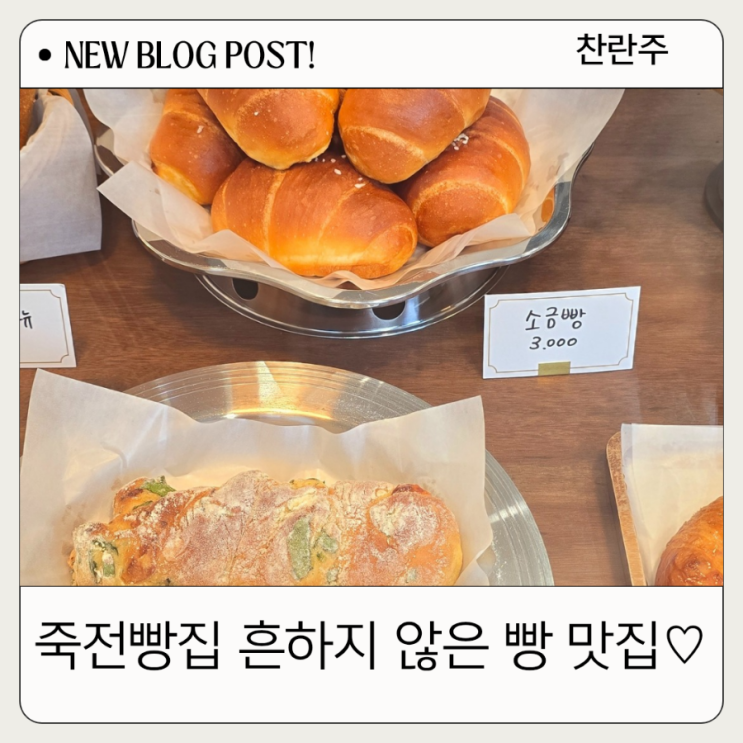  수지빵집 베이크로 종류도 많고 맛있네요